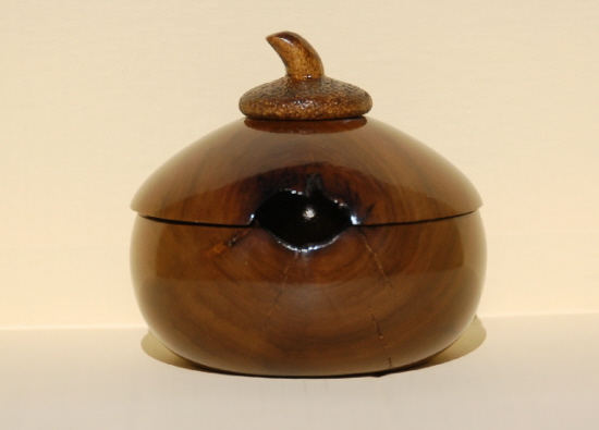 Tulip Poplar Lidded Box
