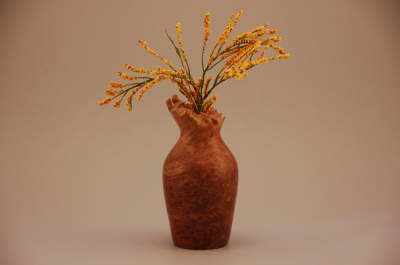 Red Mallee Burl Bud Vase