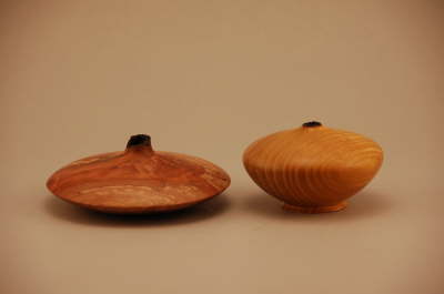 Dogwood & Mulberry Bud Vases